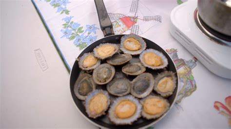 Where Do Limpets Live