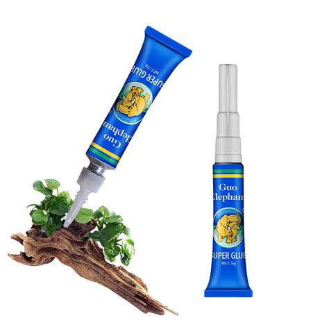 Aquascaping Glue - 4Gm Only for Live Plants (2 Nos 4gm Each) – Chennai ...