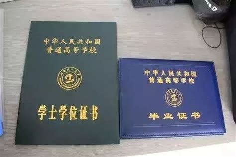 苏州大学历届毕业证学位证样本-胡杨树样本网