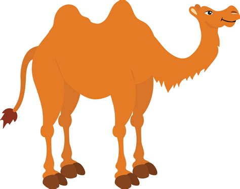 Vector Illustration of Camel isolated on white background. Clipart Camel 4707431 Vector Art at ...
