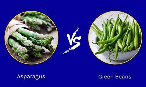 Asparagus vs Green Beans: What Are The Differences? - A-Z Animals