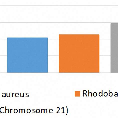 Image result for GPU Assembly Guide