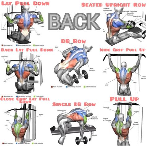 Intense Back Day Workout