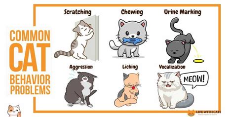 Image result for JavaScript Visual Guide