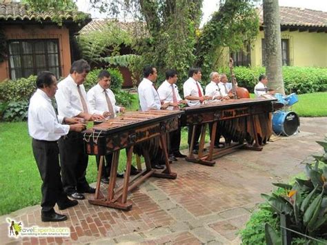 Image result for Latin American String Instruments