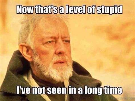 OIP.cC1vL7mXaMvPLow-DmGetQHaFj