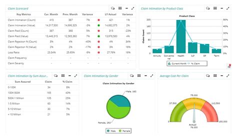 Insurance Business Intelligence, Big Data Analytics Software Solution