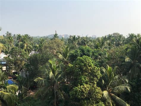 Six Ways to Get Closer to Nature – StrawBiz