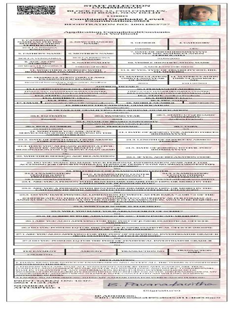 Image result for Program Application Sample PDF