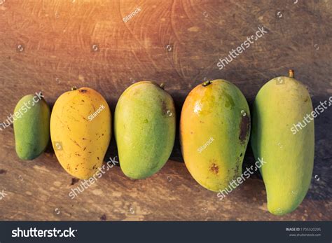 433 Different types mangoes Images, Stock Photos & Vectors | Shutterstock