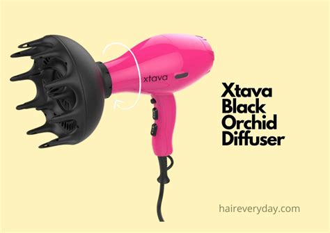 The 11 Best Diffusers for Curly Hair