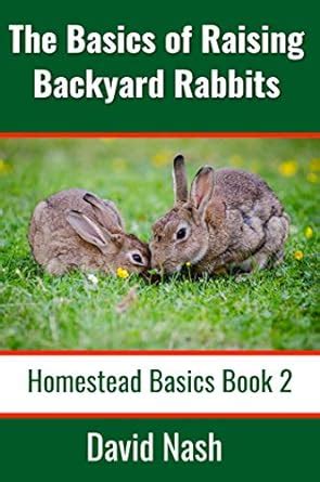 The Basics of Raising Backyard Rabbits: Beginner's Guide to Raising ...