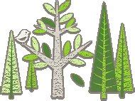 DUNSTER PHOTOWALKS (2026) All You Need to Know BEFORE You Go (w ...