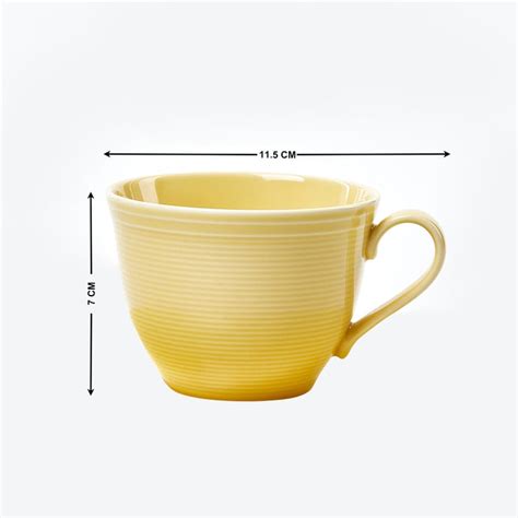 Buy Colour Refresh Porcelain Striped Cup and Saucer - 220ml from Home ...