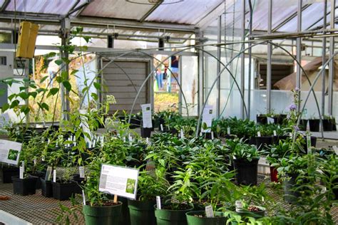 14th Annual Native Plant Sale, State Botanical Garden of Georgia at UGA ...