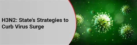 H3N2: State's Strategies to Curb Virus Surge