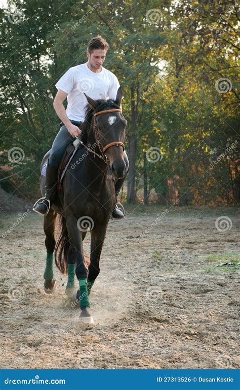 Young man riding Horse stock photo. Image of positivity - 27313526