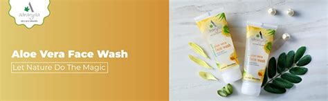 Aaranyaa Face Wash Aloe vera With Rosemary and Amla | 100ml : Amazon.in ...