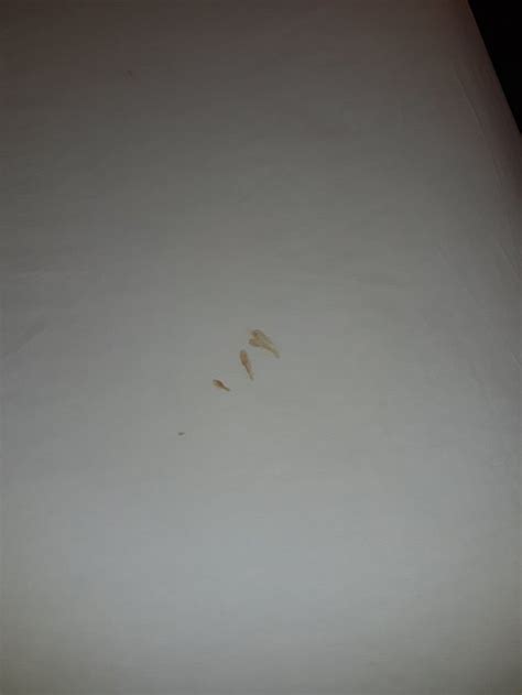 INN AT MONTICELLO - Motel Reviews, Photos, Rate Comparison - Tripadvisor