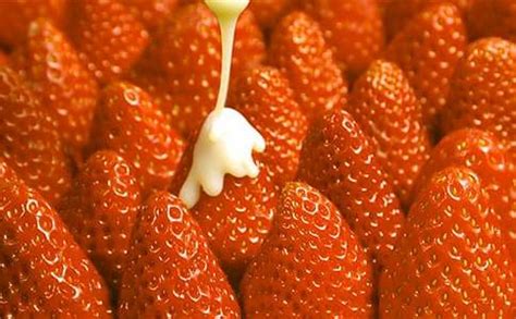 草莓的作文(15篇)
