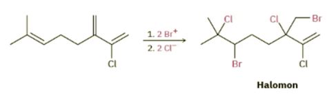Halogenation of Alkenes - Addition of X₂ - Chemistry Optional Notes for ...