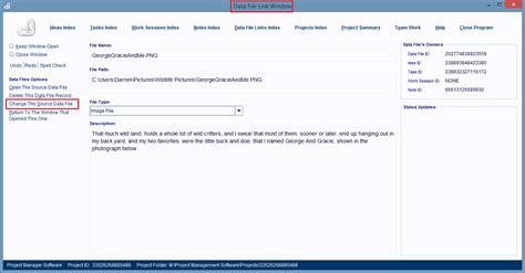 How to Input Data File Link 的图像结果