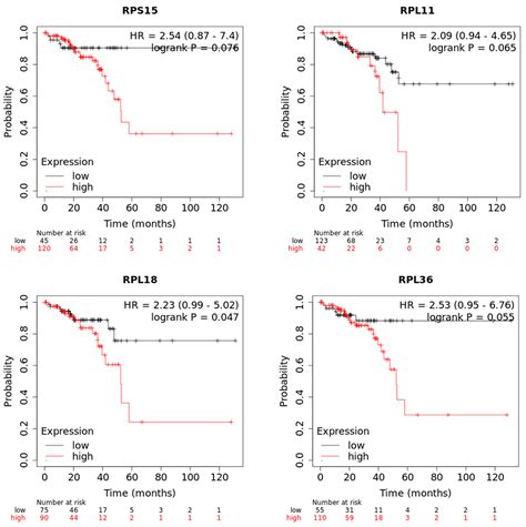 In Vivo Investigation of the Effect of Dietary Acrylamide and ...