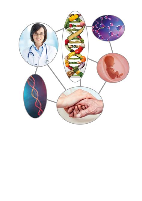 Image result for Bioethics Potter