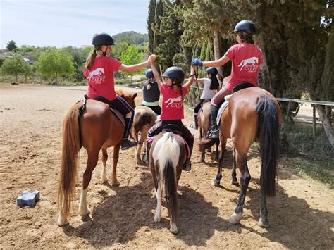 Incredible nature and welcoming staff - Reviews, Photos - Club Hipic ...