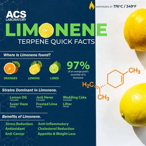 Terpene Spotlight: Everything You Need to Know About Limonene Flavor ...