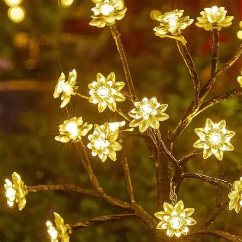 Solar lights for compound wall outdoor led lamp at best price – HOMEHOP®