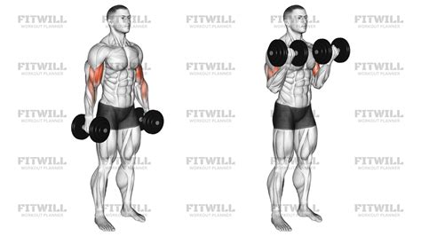 Dumbbell Standing Biceps Curl: Exercise Guide, Video, Techniques ...