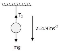 A mass of 1 kg is suspended by means of a thread. The system is (i ...