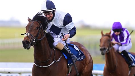 No Speak Alexander bids for Sun Chariot glory at Newmarket | Racing ...