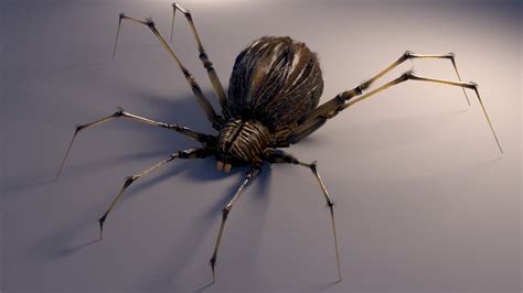 Spider Web Website HTML CSS JavaScript 的图像结果