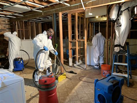 Image result for Mold Remediation Testing