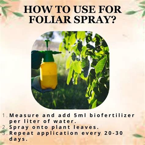 POTASSIUM BIOFERTILIZER - POTASSIUM MOLIBILIZING BACTERIA -ORGANIC FER ...