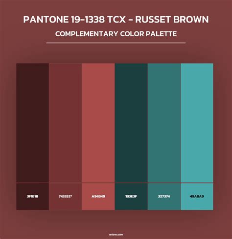 PANTONE 19-1338 TCX - Russet Brown color palettes - colorxs.com