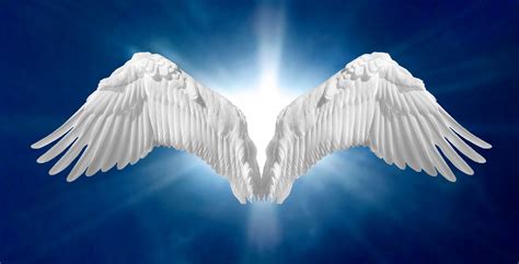 Free Angel Wings, Download Free Angel Wings png images, Free ClipArts ...