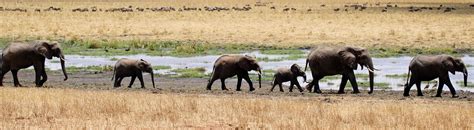 Dormitory in Bandipur, Group stay, Bandipur Dormitory, Group Tour Packages