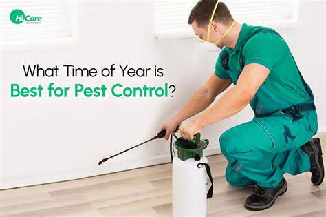 What Is Pest Control Service at Victoria Riley blog