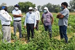 Large scale characterization of entire gene bank collections of cowpea ...