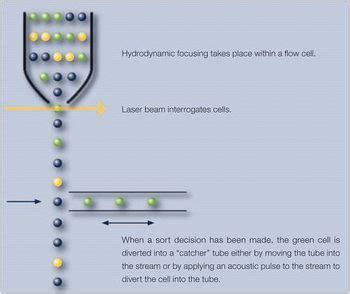 Image result for Electrostatic Cell Sorting