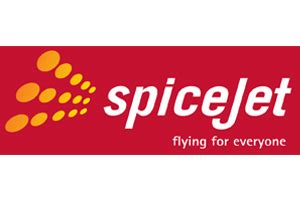 Precision Inspection Services | Clients