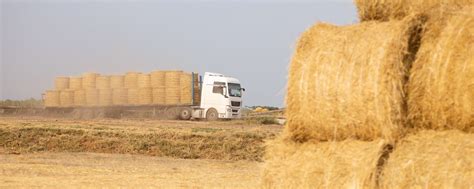 Ag supply chain feels the pressure from the labor shortage - Federal ...