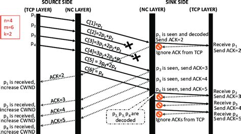 Image result for Network Programmer