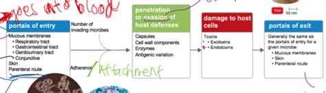 Image result for Mechanism of Microbial Pathogenicity