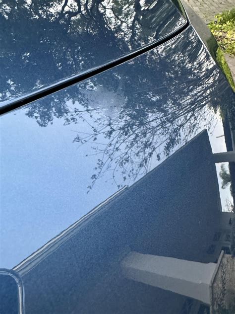 Image result for How to Remove Bird Poop