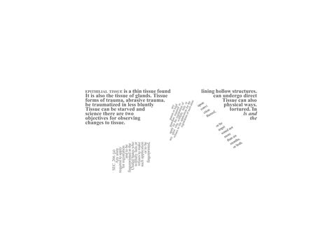 after nation — josé felipe alvergue