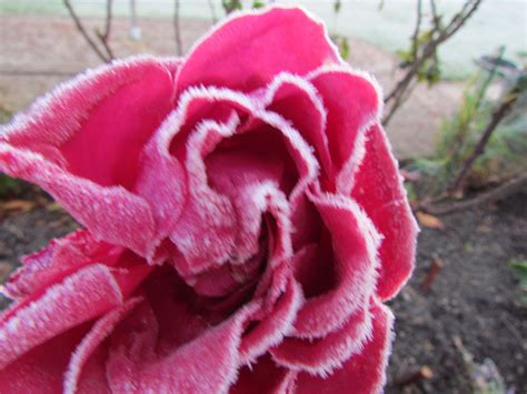 Image result for Pulp Fiction Scripture